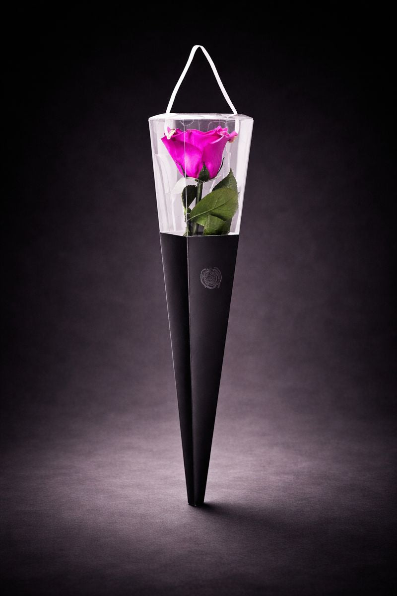 The Singular Rose Royal Fuchsia