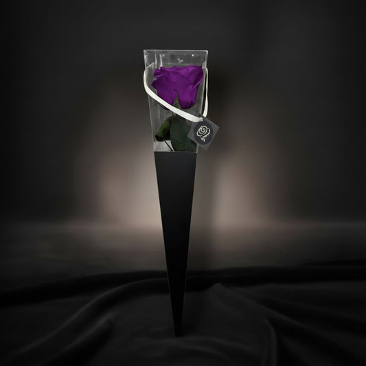 The Icon Royal Purple
