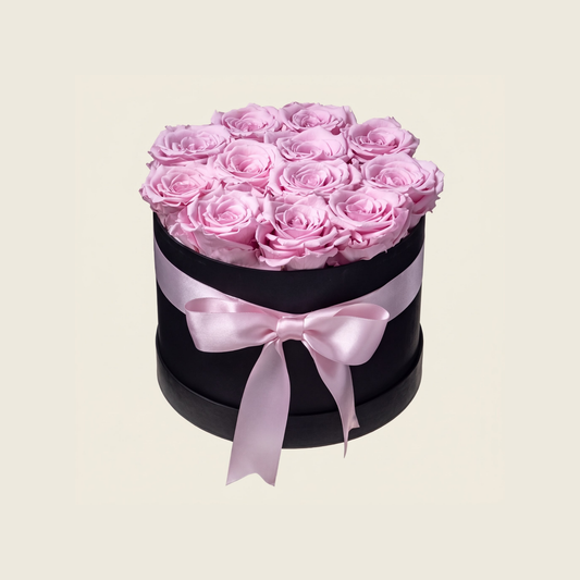 Signature Powder Pink