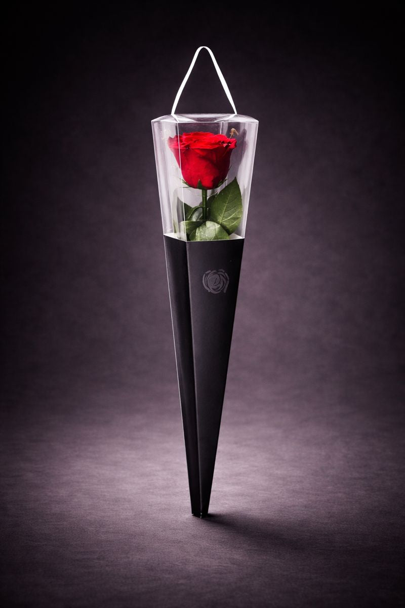 The Singular Rose Velvet Red
