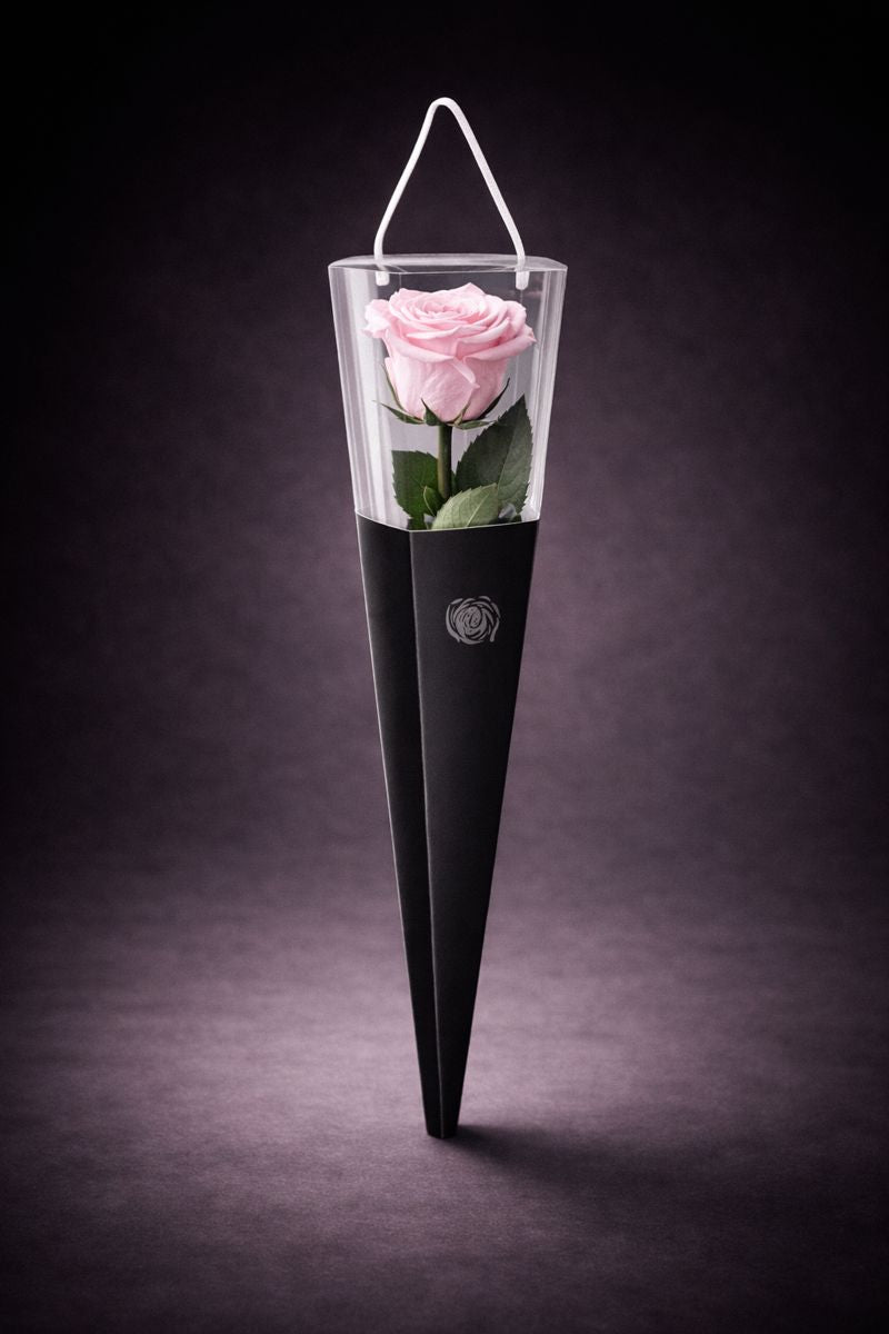 The Singular Rose Blush Pink