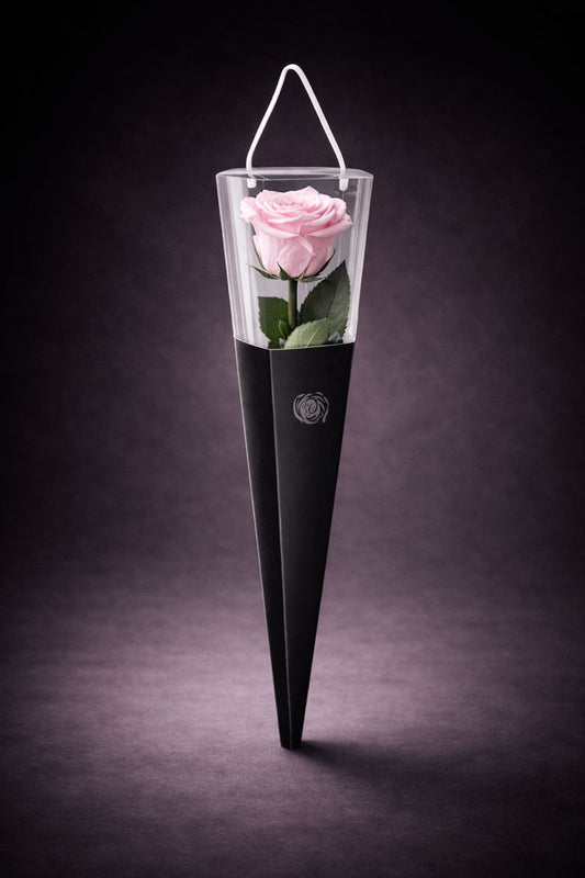 The Singular Rose Blush Pink