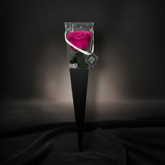 The Icon Royal Fuchsia