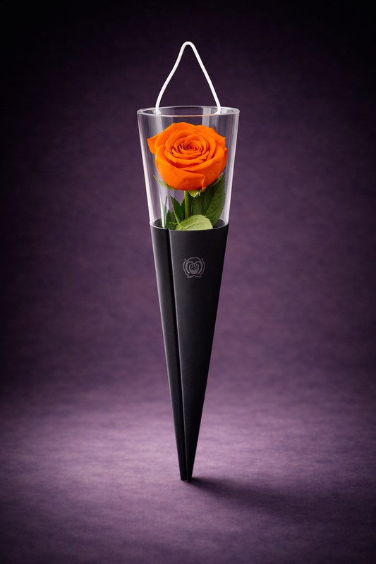 The Singular Rose Sunset Orange