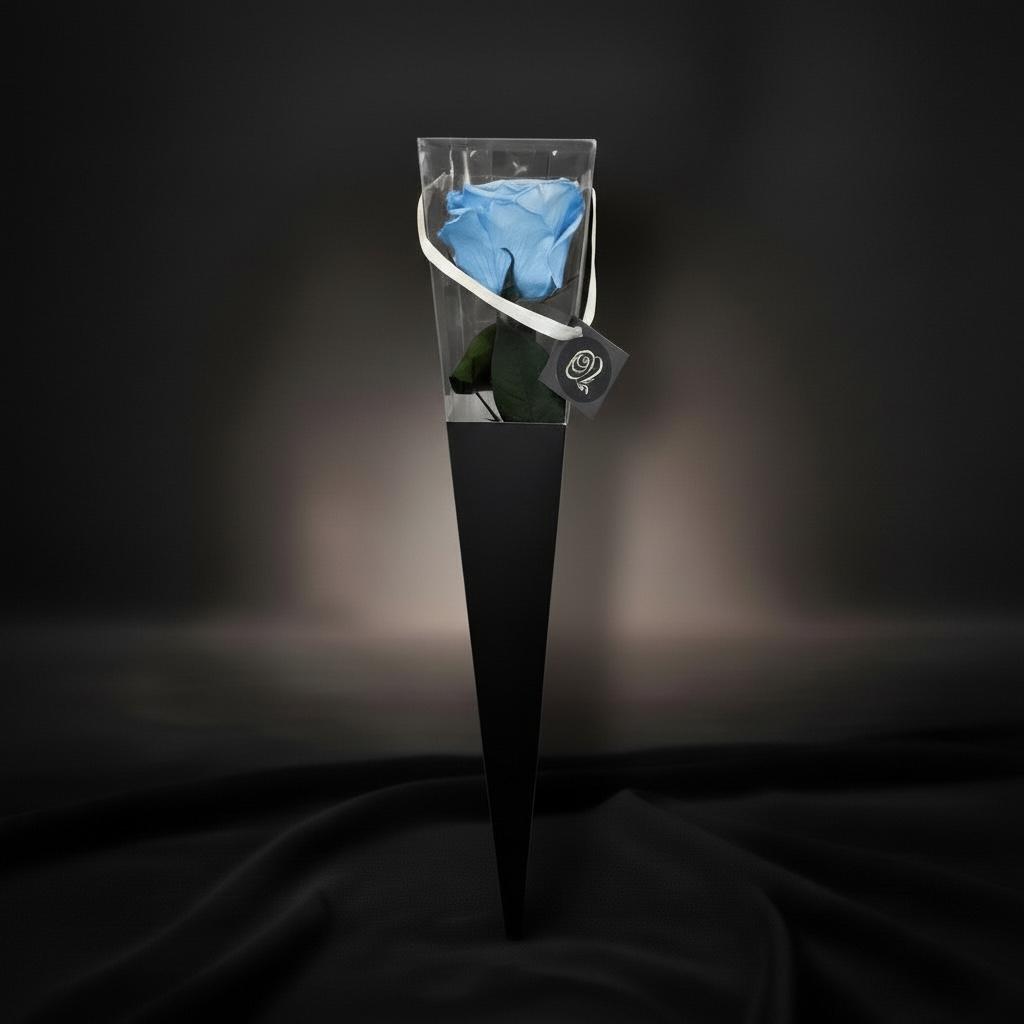 The Icon Powder Blue