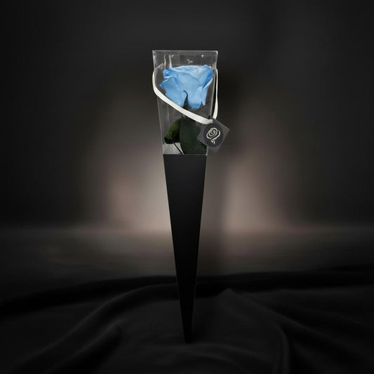 The Icon Powder Blue