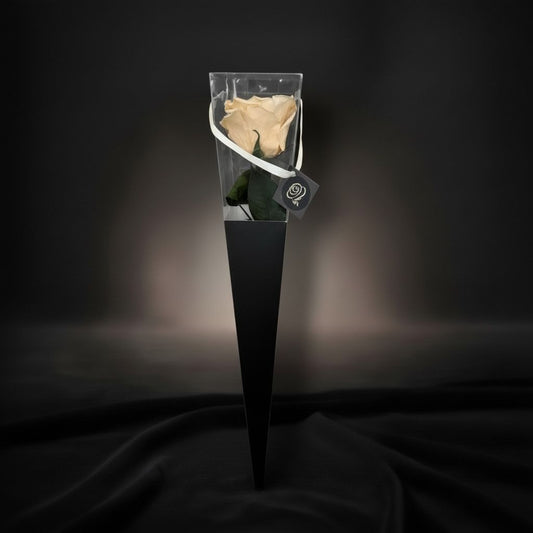 The Icon Champagne Gold