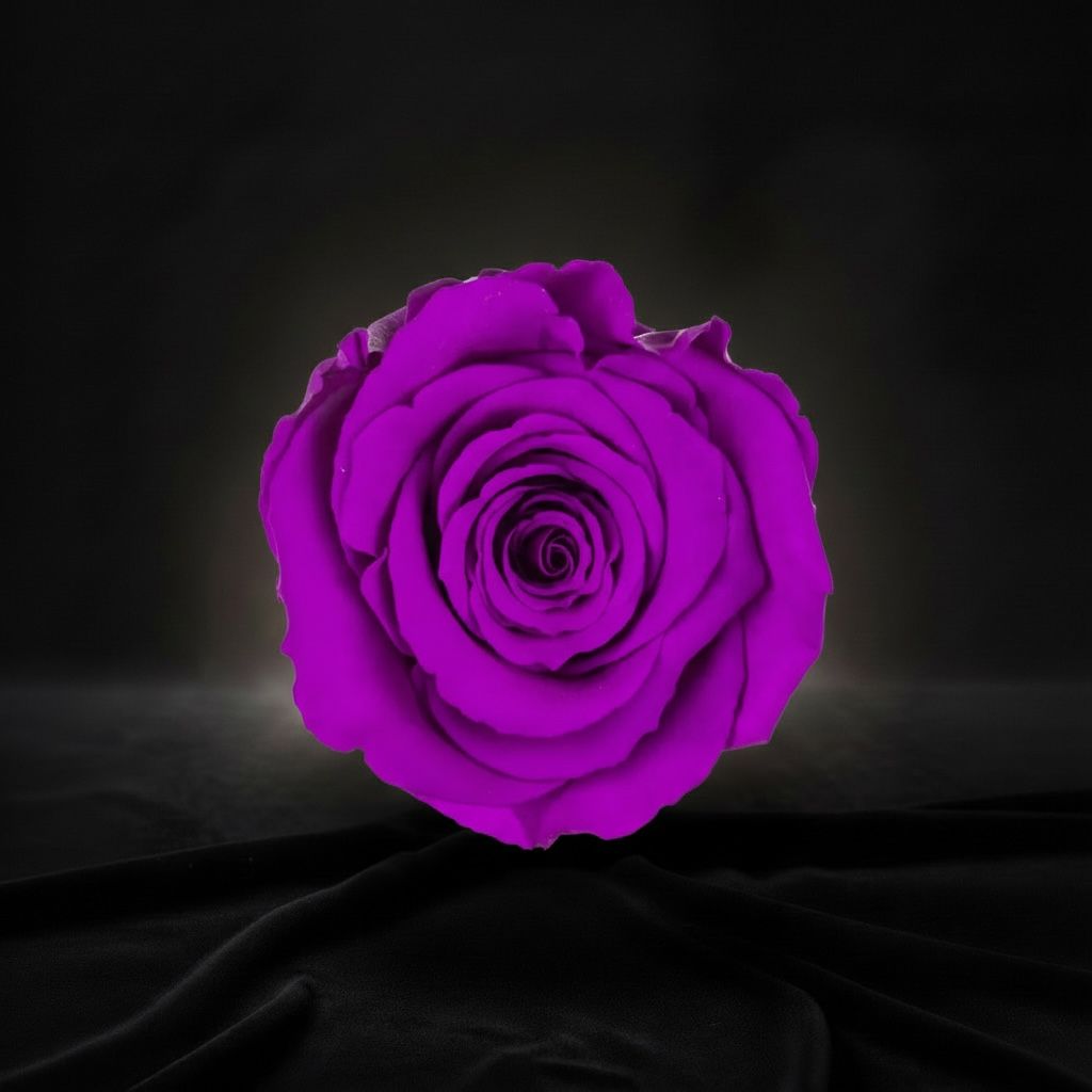 The Icon Royal Purple