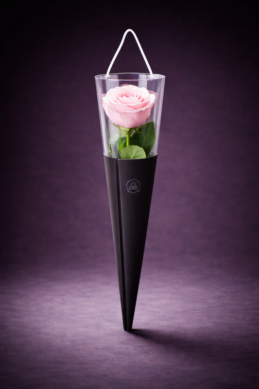 The Singular Rose Soft Blush