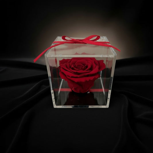 The Crystal
