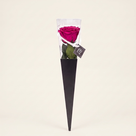 Icon Royal Fuchsia