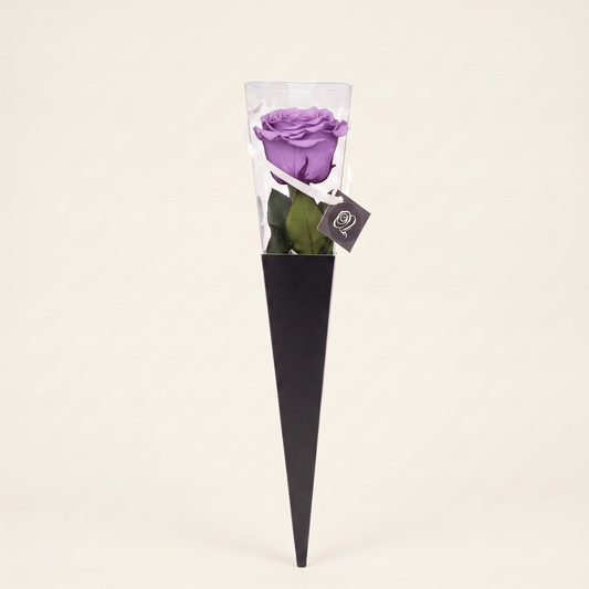 Icon Lavender Mist