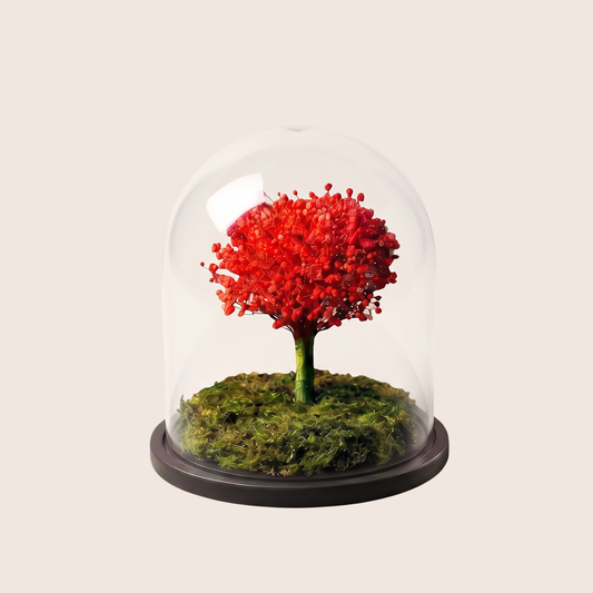 Dome Tree of Life