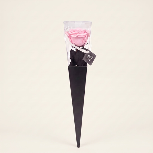 Icon Blush Pink