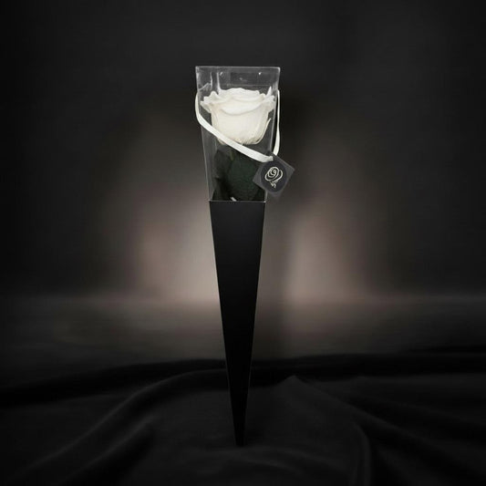 The Icon Pure White