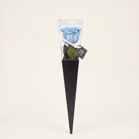 Icon Powder Blue