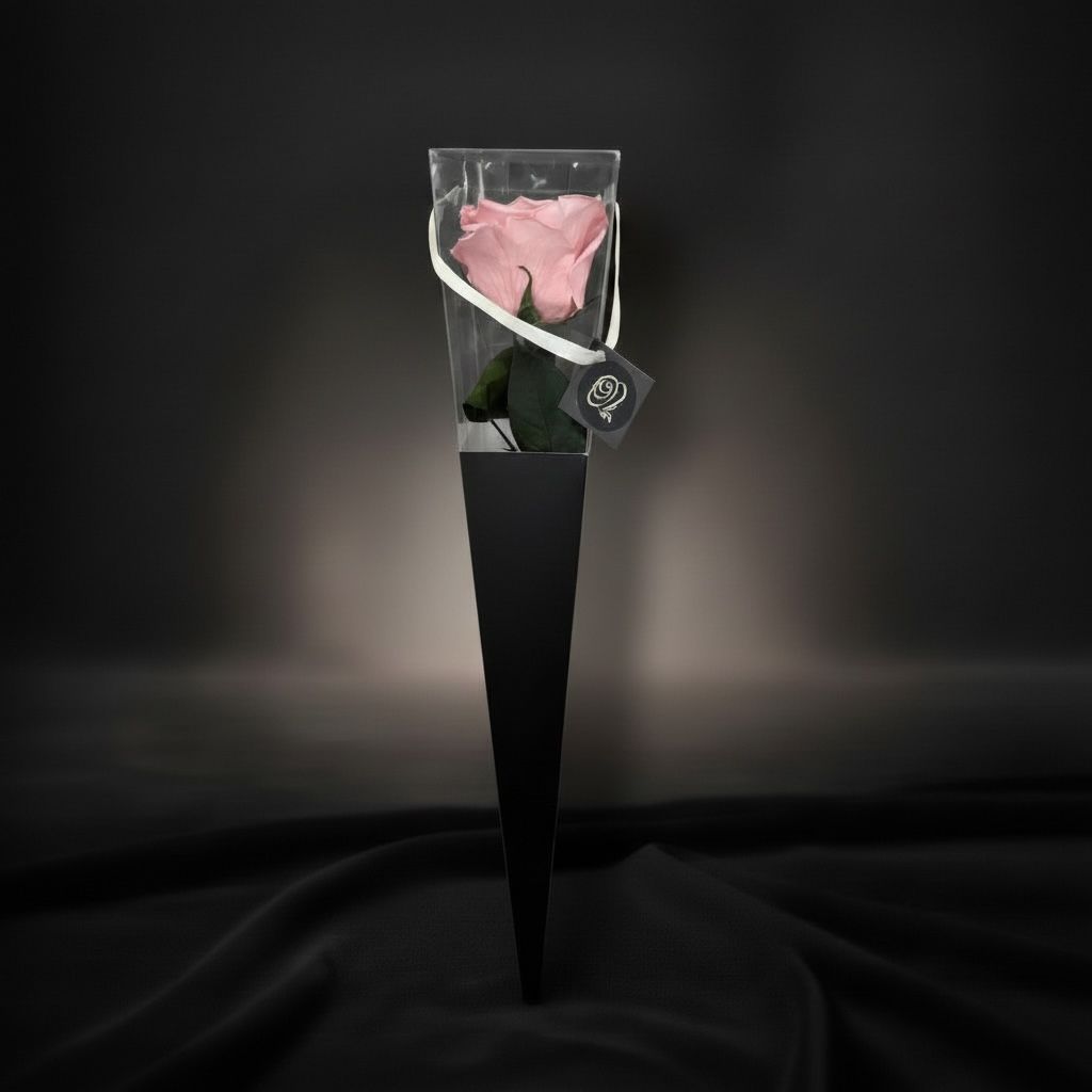 The Icon Powder Pink