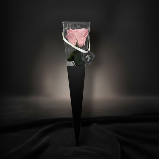The Icon Powder Pink
