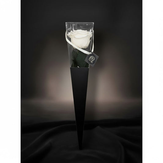 The Icon Crystal White