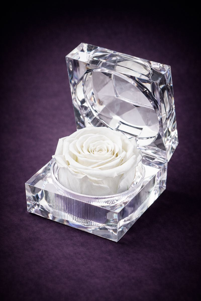 The Crystal Rose