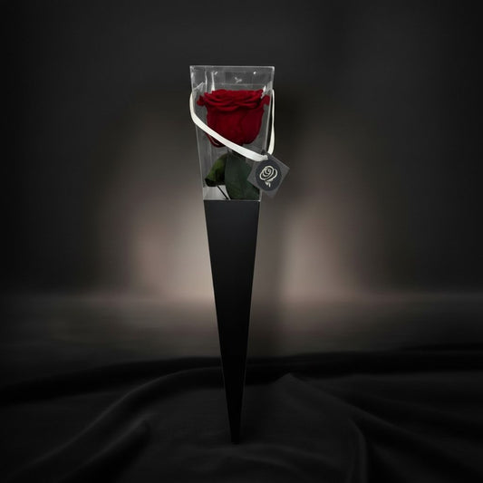 The Icon Velvet Red